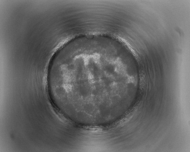 X0000116570443201001071158