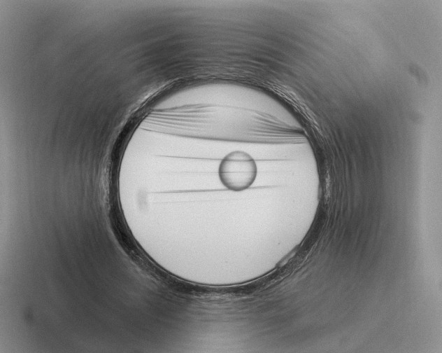 X0000116570444201001071158