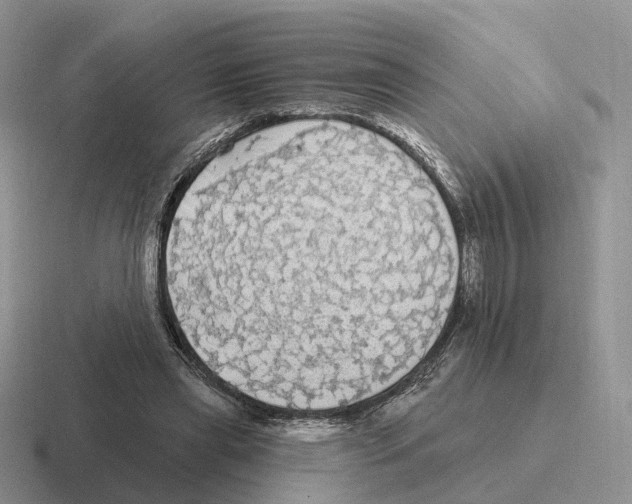 X0000116570445201001071158