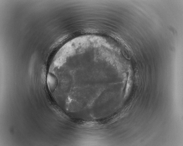 X0000116570446201001071158