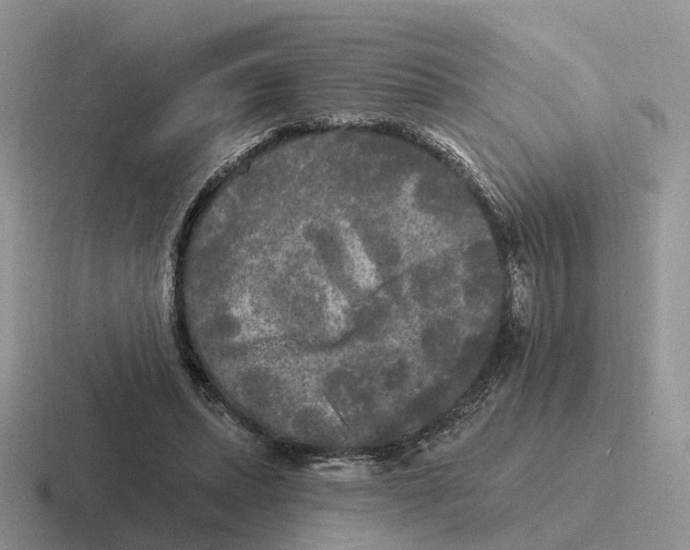 X0000116570447201001071158