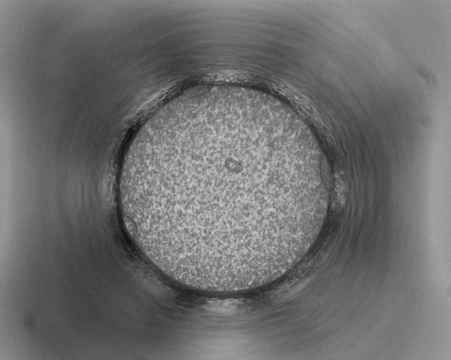 X0000116570450201001071158