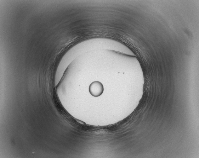 X0000116570456201001071158