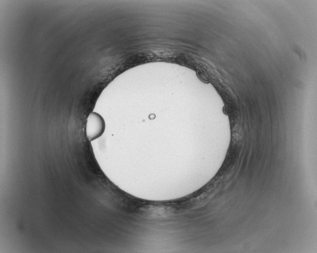 X0000116570464201001071158