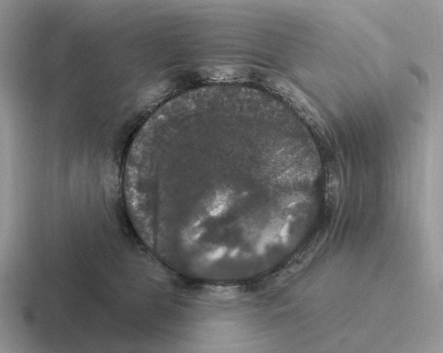 X0000116570469201001071158