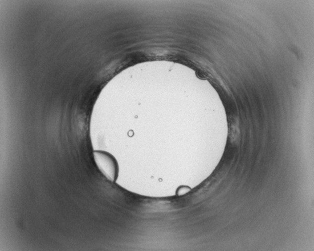 X0000116570476201001071158