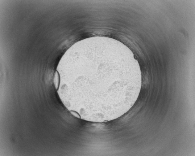 X0000116570478201001071158