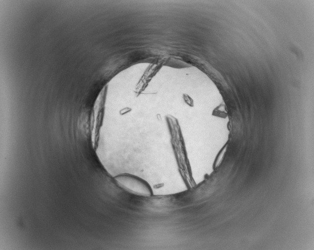 X0000116570479201001071158