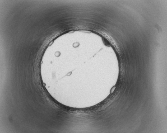 X0000116570481201001071157