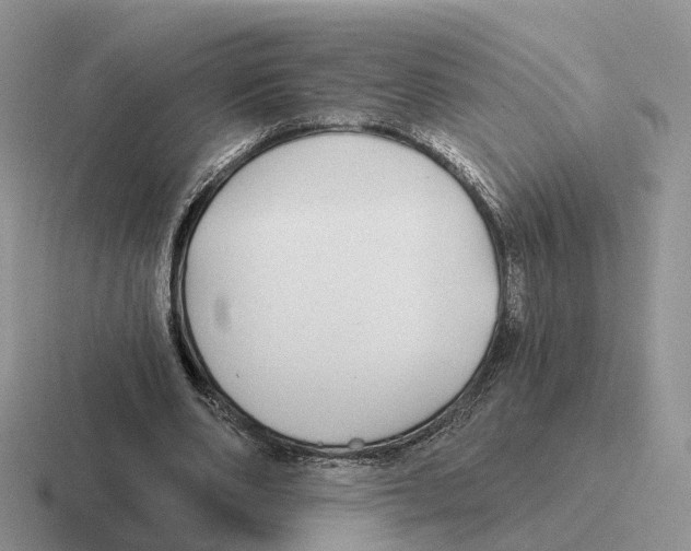 X0000116570486201001071157