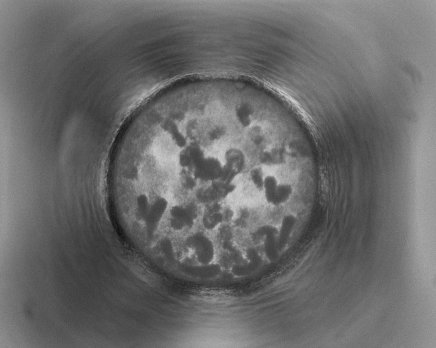 X0000116570487201001071157