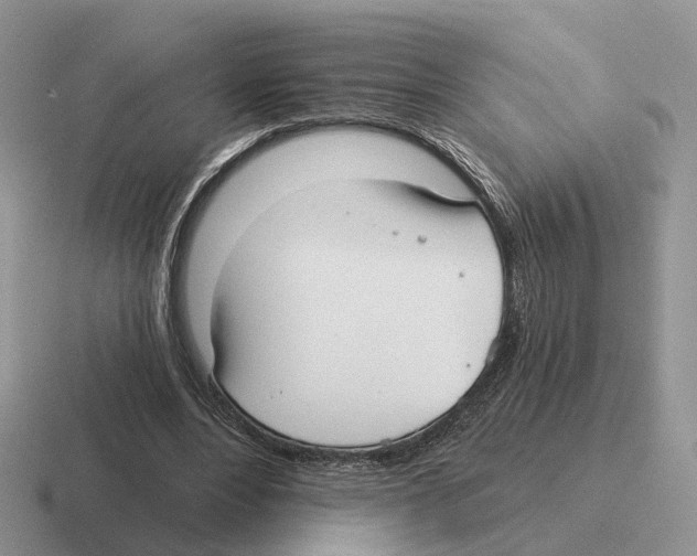 X0000116570488201001071157