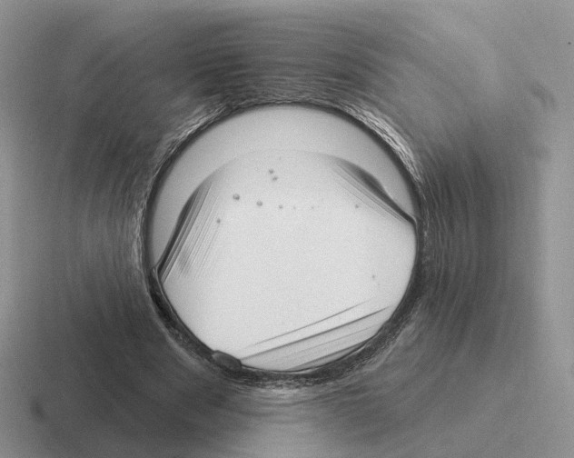 X0000116570489201001071157