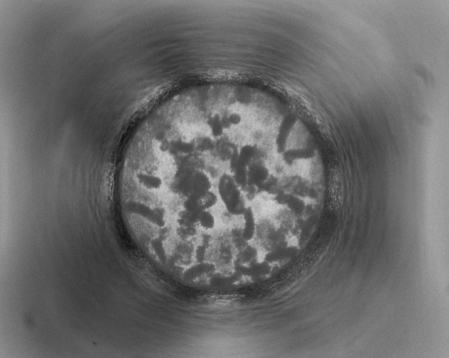 X0000116570495201001071157