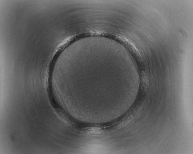 X0000116570496201001071157