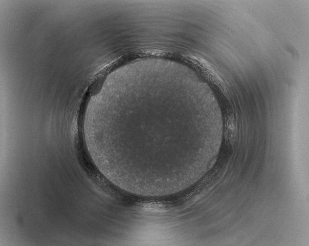 X0000116570500201001071157