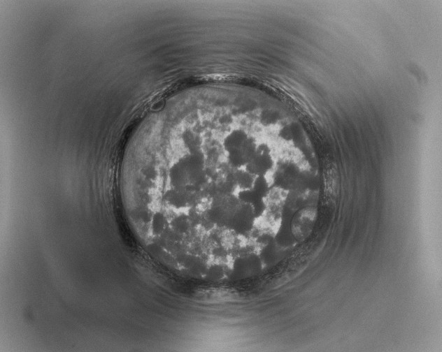 X0000116570503201001071157