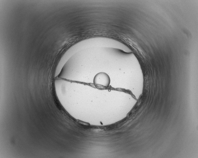 X0000116570509201001071157