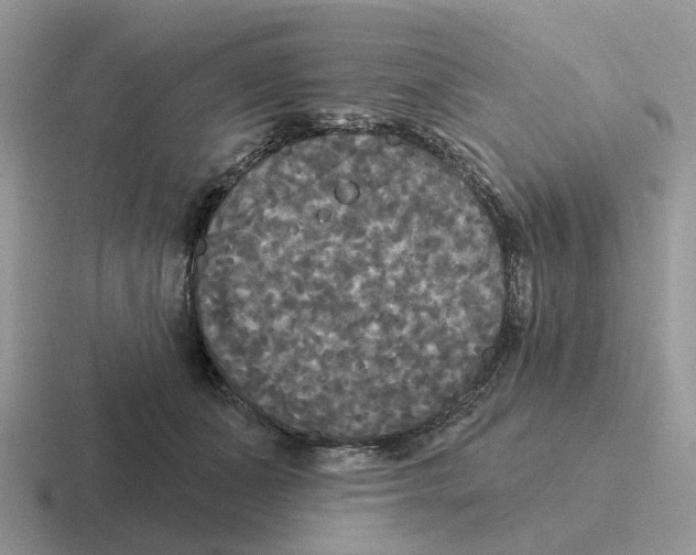 X0000116570511201001071157