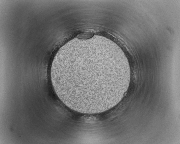 X0000116570512201001071157