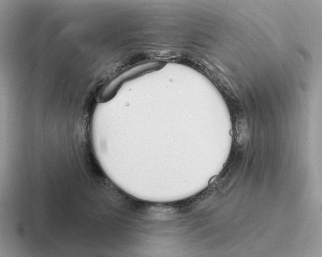 X0000116570515201001071157