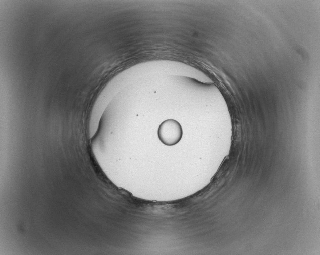 X0000116570517201001071157