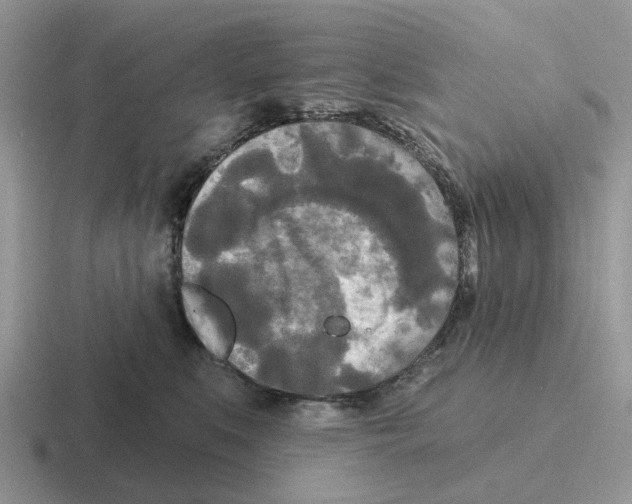 X0000116570519201001071157