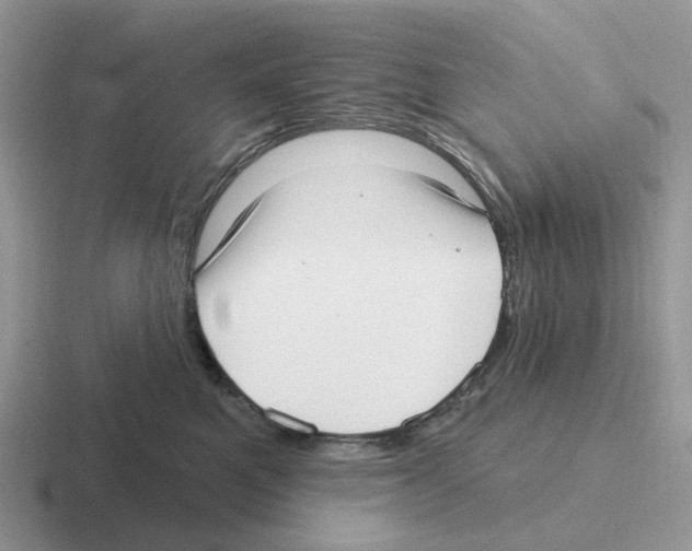 X0000116570521201001071157