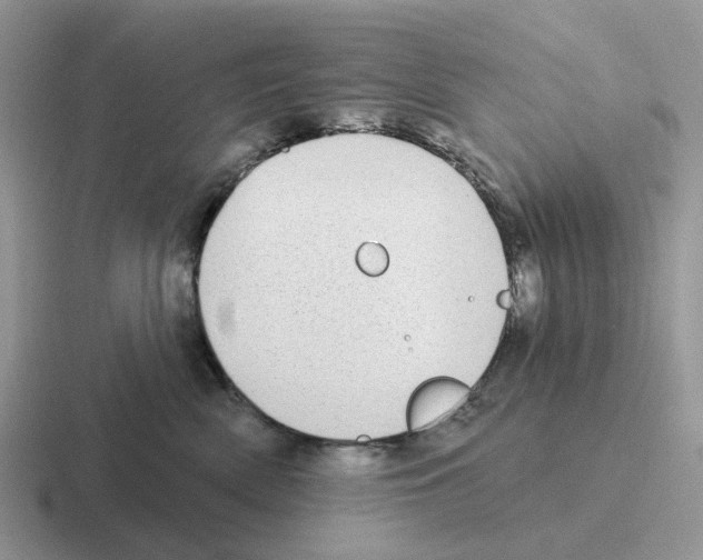 X0000116570522201001071157