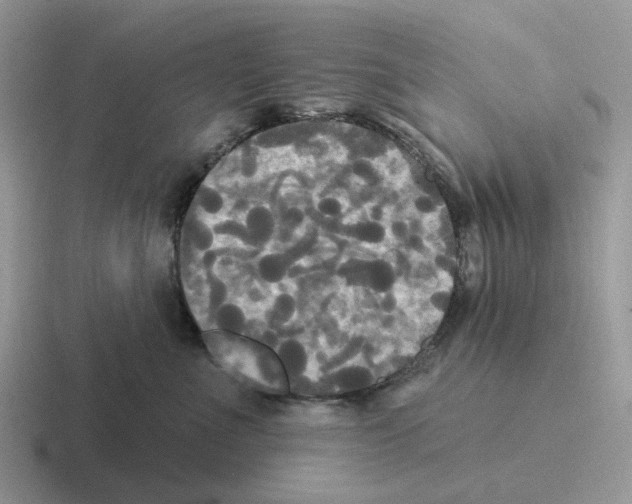 X0000116570523201001071157