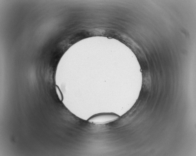 X0000116570525201001071157