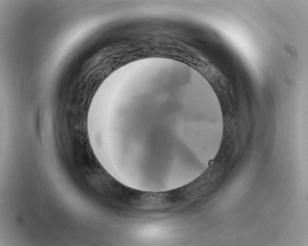 X0000116570526201001071157