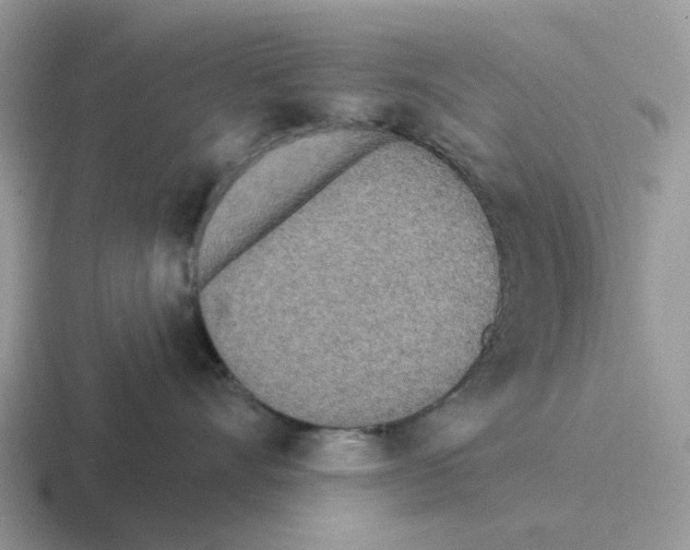 X0000116570528201001071157