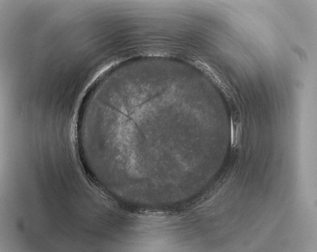 X0000116570531201001071156