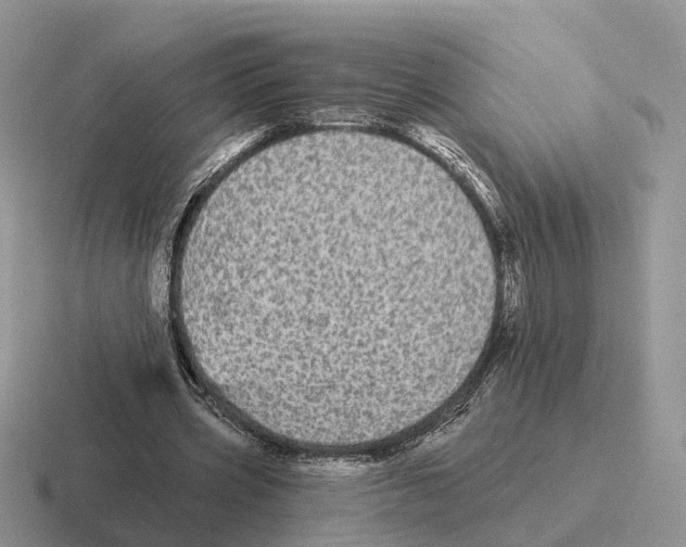 X0000116570533201001071156