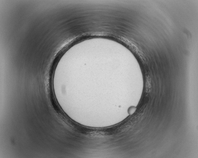 X0000116570535201001071156