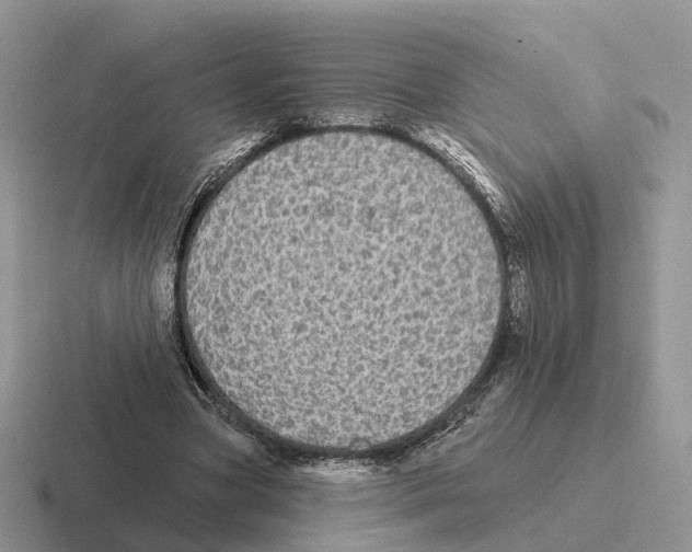 X0000116570537201001071156