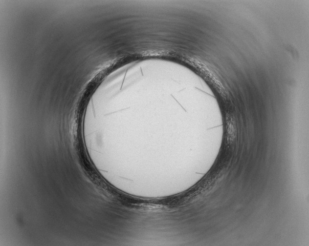 X0000116570539201001071156
