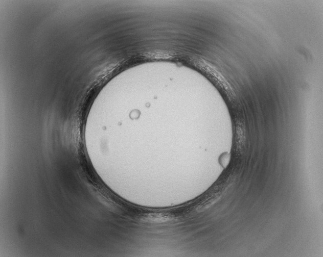 X0000116570541201001071156