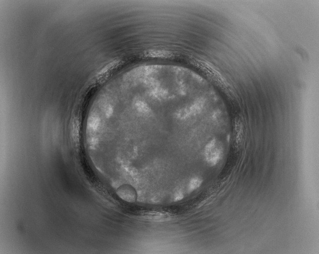 X0000116570542201001071156