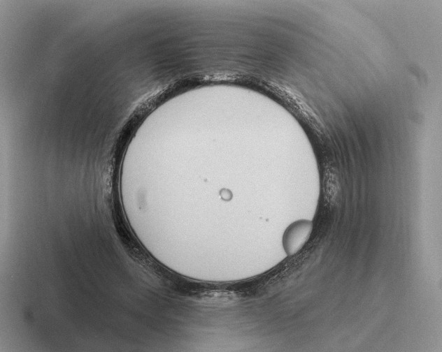 X0000116570543201001071156