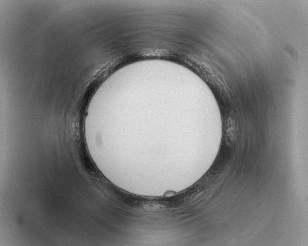 X0000116570547201001071156