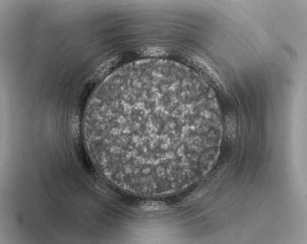 X0000116570549201001071157