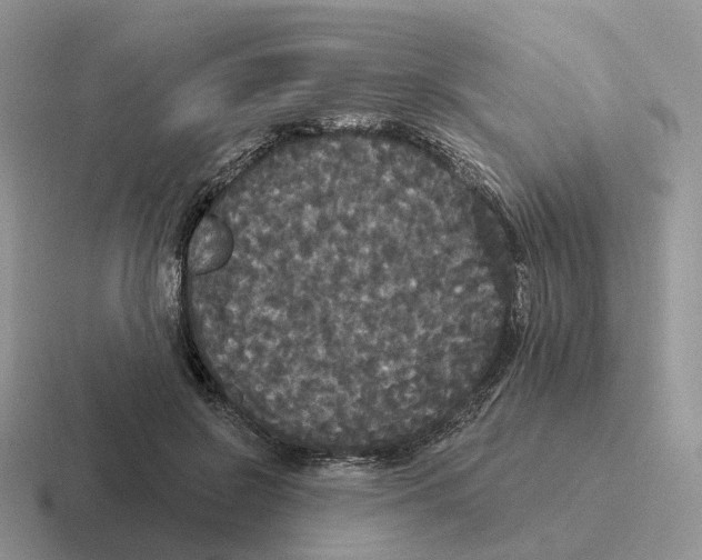 X0000116570550201001071157