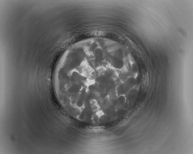 X0000116570553201001071157