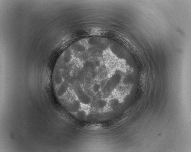 X0000116570554201001071157