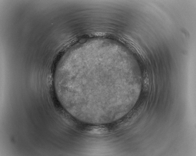 X0000116570555201001071157