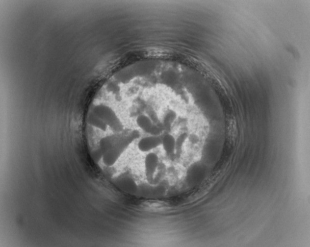 X0000116570557201001071157