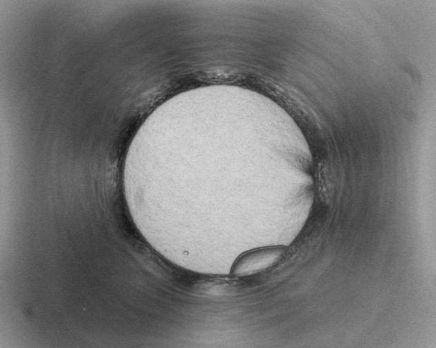 X0000116570563201001071157