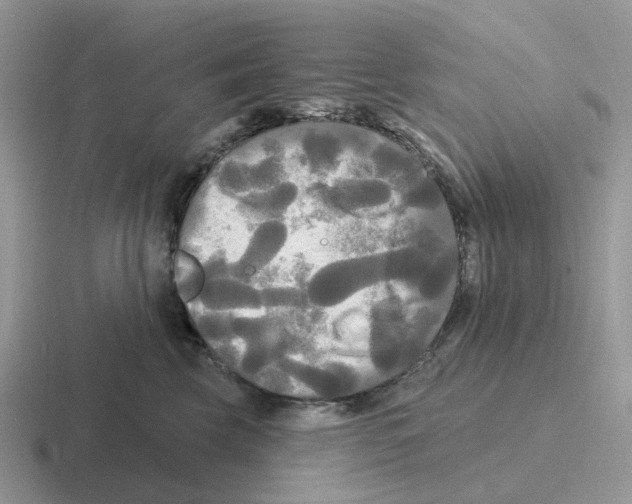 X0000116570569201001071157